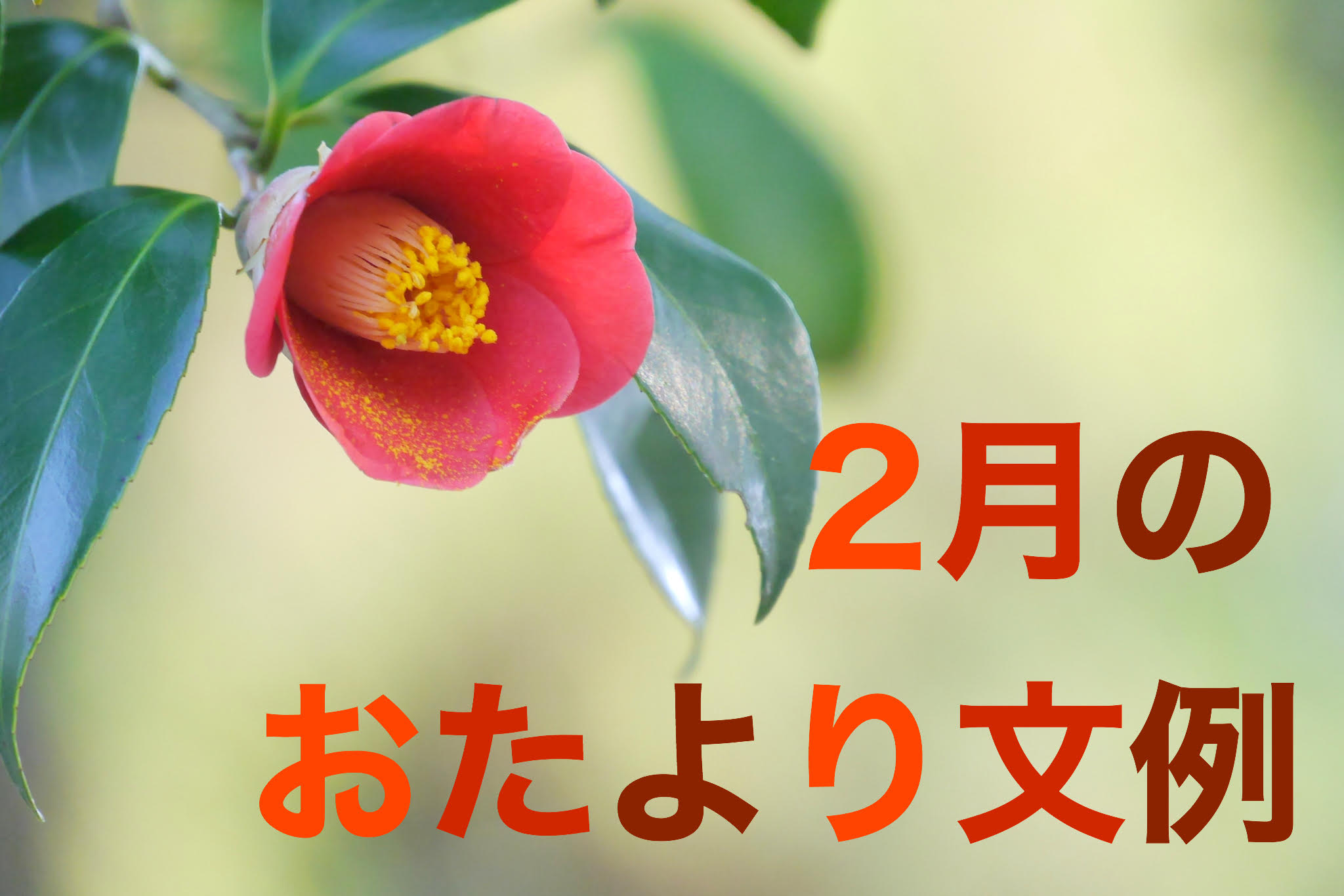 保育園の2月のおたより文例 お願い 書き出し 季節の挨拶文など すてきな保育士の仕事